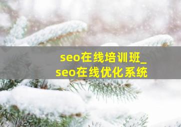 seo在线培训班_seo在线优化系统