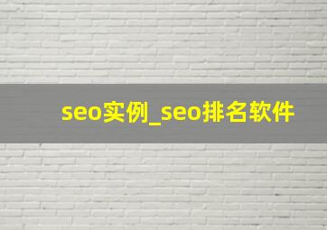 seo实例_seo排名软件