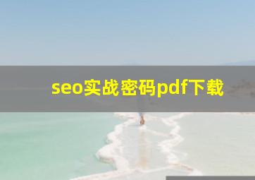 seo实战密码pdf下载