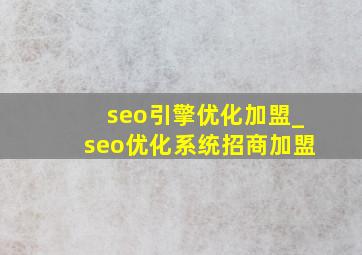 seo引擎优化加盟_seo优化系统招商加盟
