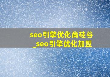 seo引擎优化尚硅谷_seo引擎优化加盟