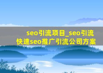 seo引流项目_seo引流(快速seo推广引流公司)方案