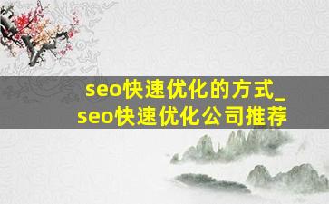 seo快速优化的方式_seo快速优化公司推荐
