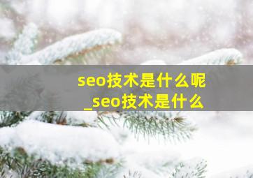 seo技术是什么呢_seo技术是什么