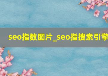 seo指数图片_seo指搜索引擎