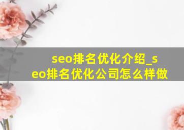 seo排名优化介绍_seo排名优化公司怎么样做