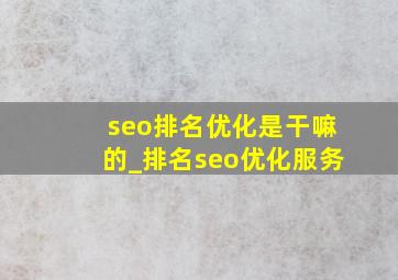 seo排名优化是干嘛的_排名seo优化服务