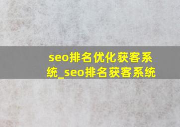 seo排名优化获客系统_seo排名获客系统