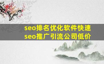 seo排名优化软件(快速seo推广引流公司)低价