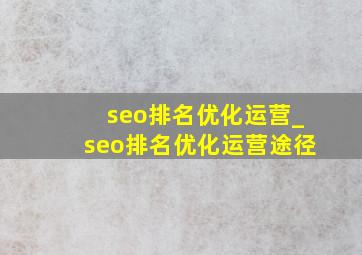 seo排名优化运营_seo排名优化运营途径