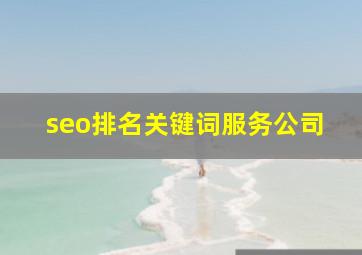 seo排名关键词服务公司