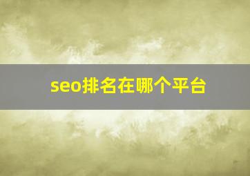 seo排名在哪个平台