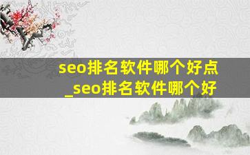 seo排名软件哪个好点_seo排名软件哪个好