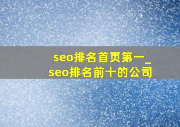 seo排名首页第一_seo排名前十的公司