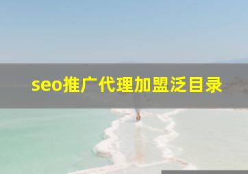 seo推广代理加盟泛目录