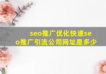 seo推广优化(快速seo推广引流公司)网址是多少