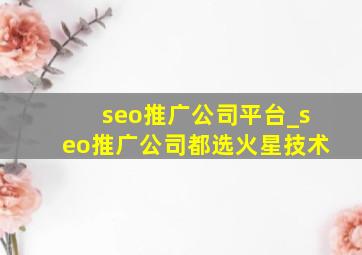 seo推广公司平台_seo推广公司都选火星技术