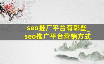 seo推广平台有哪些_seo推广平台营销方式