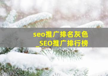 seo推广排名灰色_SEO推广排行榜