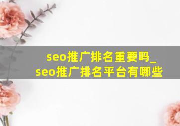 seo推广排名重要吗_seo推广排名平台有哪些