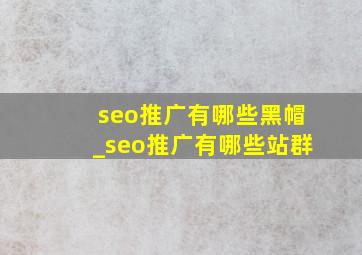 seo推广有哪些黑帽_seo推广有哪些站群