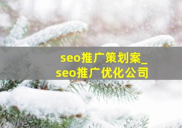 seo推广策划案_seo推广优化公司