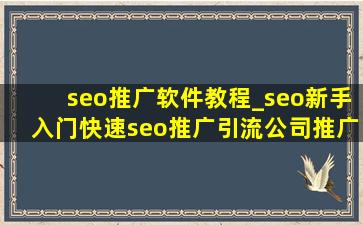 seo推广软件教程_seo新手入门(快速seo推广引流公司)推广软件