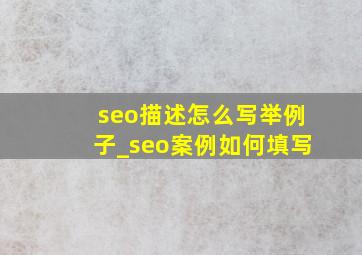 seo描述怎么写举例子_seo案例如何填写