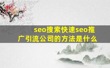 seo搜索(快速seo推广引流公司)的方法是什么