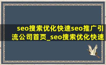 seo搜索优化(快速seo推广引流公司)首页_seo搜索优化(快速seo推广引流公司)首页网址