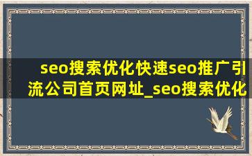 seo搜索优化(快速seo推广引流公司)首页网址_seo搜索优化软件