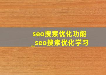 seo搜索优化功能_seo搜索优化学习
