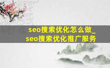 seo搜索优化怎么做_seo搜索优化推广服务
