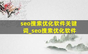seo搜索优化软件关键词_seo搜索优化软件