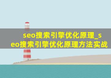seo搜索引擎优化原理_seo搜索引擎优化原理方法实战