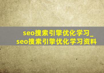seo搜索引擎优化学习_seo搜索引擎优化学习资料