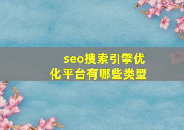 seo搜索引擎优化平台有哪些类型