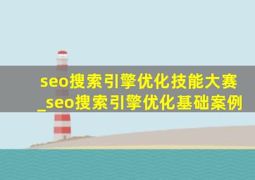 seo搜索引擎优化技能大赛_seo搜索引擎优化基础案例