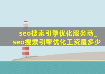 seo搜索引擎优化服务商_seo搜索引擎优化工资是多少