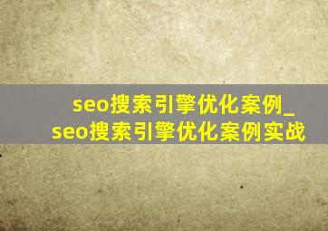 seo搜索引擎优化案例_seo搜索引擎优化案例实战