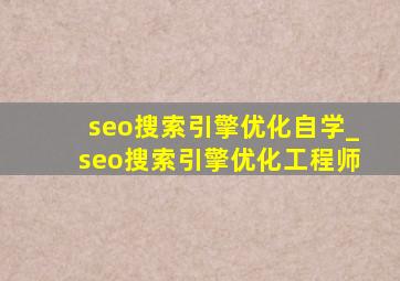 seo搜索引擎优化自学_seo搜索引擎优化工程师