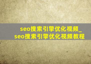 seo搜索引擎优化视频_seo搜索引擎优化视频教程