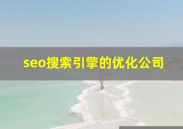 seo搜索引擎的优化公司