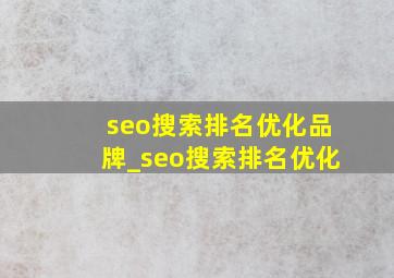 seo搜索排名优化品牌_seo搜索排名优化
