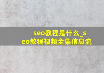 seo教程是什么_seo教程视频全集信息流