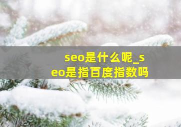 seo是什么呢_seo是指百度指数吗