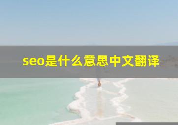 seo是什么意思中文翻译