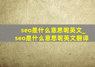 seo是什么意思呢英文_seo是什么意思呢英文翻译