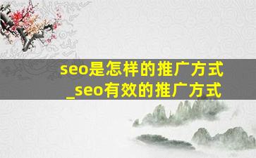 seo是怎样的推广方式_seo有效的推广方式