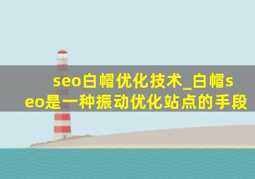 seo白帽优化技术_白帽seo是一种振动优化站点的手段